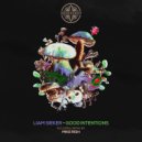 Liam Sieker - Good Intentions (Mike Rish Remix)
