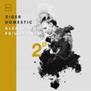 Ziger - Domestic (Alex O\'Rion Private Mix)