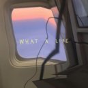 Scarlet Pleasure - What A Life (M8 Remix)
