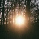 AK - Sommersonne