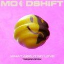 Moodshift Ft. Lucas Nord, Oliver Nelson & flyckt - What About My Love