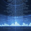 DJ Briander - Remixed hits vol 3