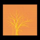 The Vinyl Depreciation Society - Forest