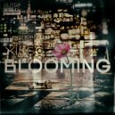 XINGO - Blooming