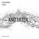 Electronic Fluke - And later
