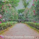 Tropical Christmas Orchestra - Once in Royal David's City - Christmas Holidays