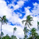 Tropical Christmas Seduction - God Rest Ye Merry Gentlemen, Chrismas Shopping ()