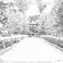 Tropical Christmas Vintage - Christmas 2020 The First Nowell ()
