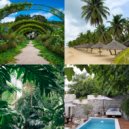 Tropical Christmas Retro - It Came Upon the Midnight Clear - Christmas at the Beach ()