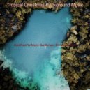 Tropical Christmas Background Music - Deck the Halls - Christmas Holidays