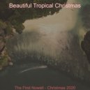 Beautiful Tropical Christmas - Christmas Massage Silent Night