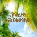 Ultra Hexx - in the Sunshine