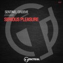 Sentinel Groove - Serious Pleasure