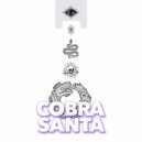 COBRA SANTA - Looped Flight (Original Mix)