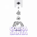 COBRA SANTA - Looped Flight