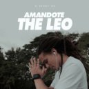 The Leo - Amandote
