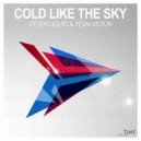 Steven Liquid/YeЕџim Mutun - Cold Like the Sky