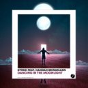 DTRCH , Hannah Bringmann - Dancing In The Moonlight