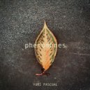 Yuri Pascual - When I Got The Blues (Original Mix)