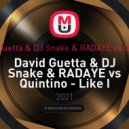 David Guetta & DJ Snake & RADAYE vs Quintino - Like I Do Loca Den Propaganda Carnival