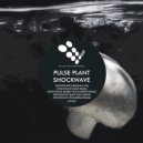 Pulse Plant - Shockwave (Rabbit Hole Express Remix)