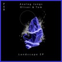 Analog Jungs, Oliver & Tom - Landscape