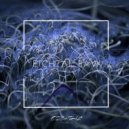 Kleber - Acid Shot (Original Mix)