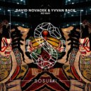 David Novacek & Yvvan Back - No Way