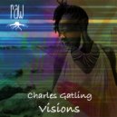 Charles Gatling - Visions