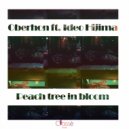 Oberhon ft. Ideo Hijima - Peach tree in bloom