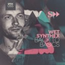 Wet Synthex - Disco De Paris (Original Mix)