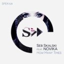 Seb Skalski, Novika - How Manny Times (House Mix)