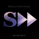 Promill - Feel the Beat