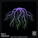 Roni Be - Transparent (Original Mix)
