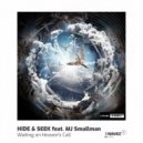 Hide & Seek, MJ Smallman - Waiting On Heaven's Call
