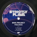 BWK Project - Problems