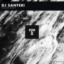 DJ Santeri - Polar Beat