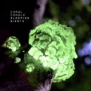 Coral Candle - Ghost Mountains