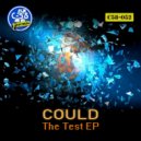 Could - The Test