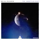 Belial Pelegrim - Subtext