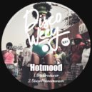 Hotmood - Disco Phenomenom