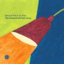 Natural Piece of Aloe - The Funeral of Post-Irony (Genning Remix)