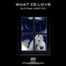 SLH Ft. Mary S.K. - What Is Love