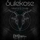 Sulekose, Goya - Count Zero (Original Mix)