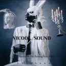 VICOOL SOUND - Mantra of the passing year Progressing