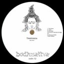 Tessitrama - Too Old To Call Me Prodigy (Original mix)