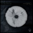 Hybrid - Floppy Disk