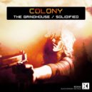 Colony - Solidified