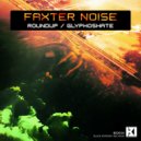 Faxter Noise - Roundup