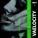 Vaelocity - Say The Truth